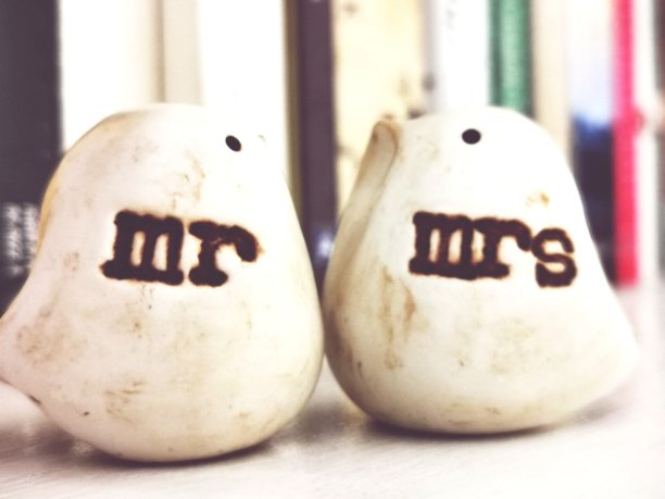 先生和夫人图片下载