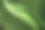 叶子的自然质地。清晨，一颗露珠落在新鲜多汁的山谷百合叶子上，这是一幅以春天、生态、清新为主题的设计。图片下载
