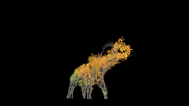 树长得像大象一样。环保的概念。图片下载