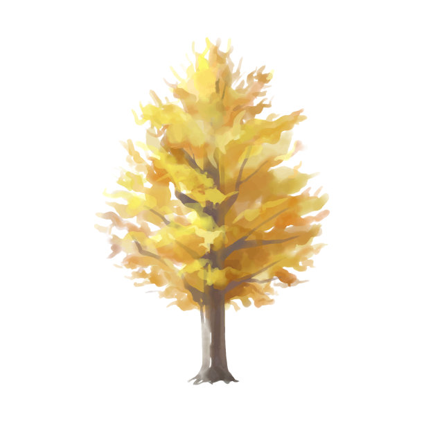 在白天金黄银杏树的矢量插图。图片下载