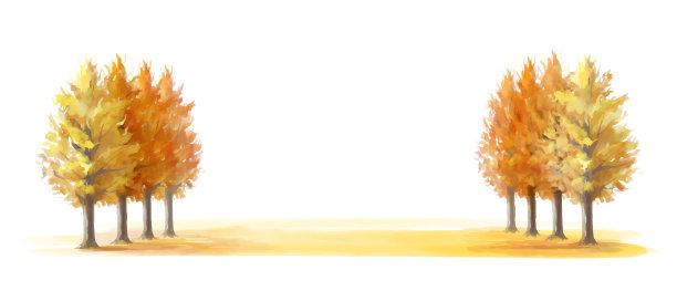 矢量插图。一排排金黄色的银杏树。图片下载