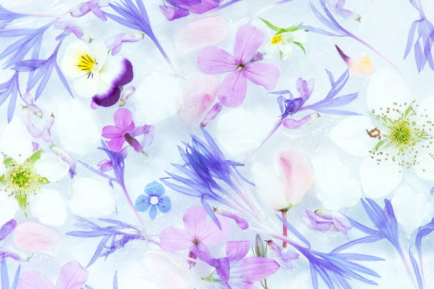 温柔的花卉图案图片下载