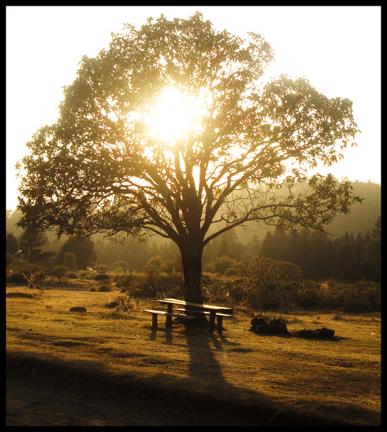墨西哥城的风景图片下载