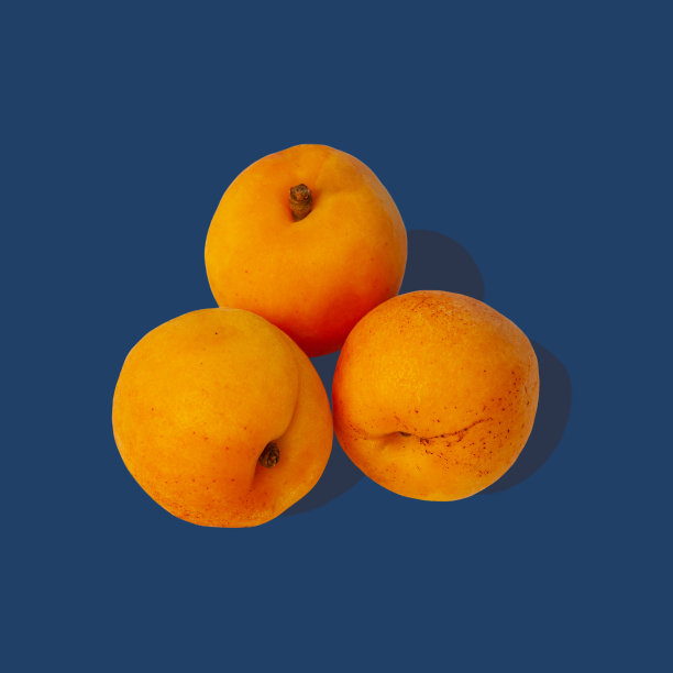 淡蓝色的背景上放着杏子和坚硬的阴影。新颖的夏日水果布局。素食食品的概念图片下载