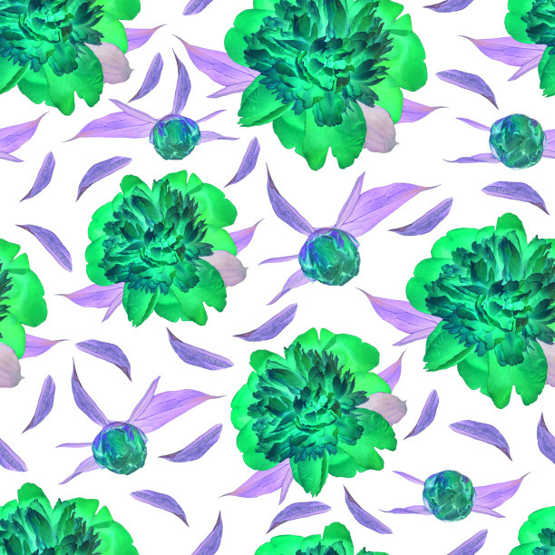 粉红色牡丹花无缝孤立的颜色背景。美丽的花头用于纺织，网站花卉设计。图片下载