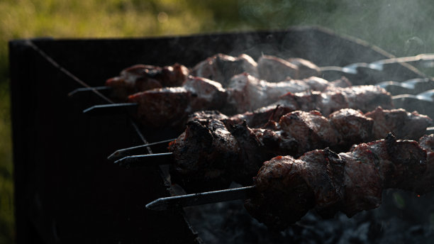 夏日阳光明媚的烧烤时间图片下载