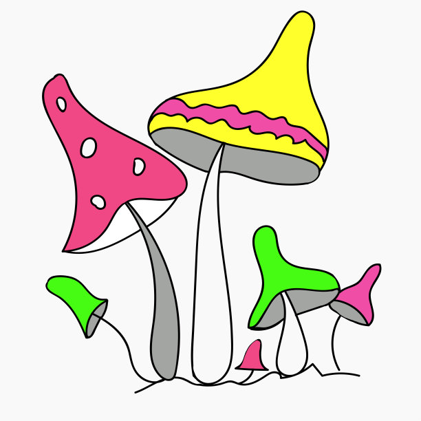 有毒的酸性真菌。图片下载