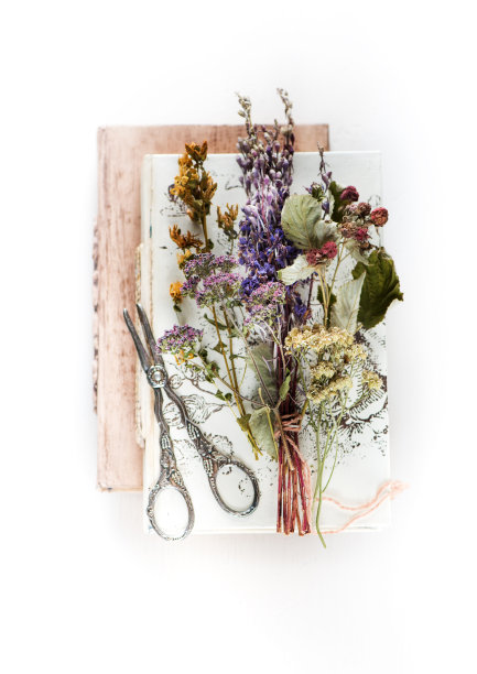 草药的概念。干燥的治疗药草，剪刀和古董书，俯视图图片下载