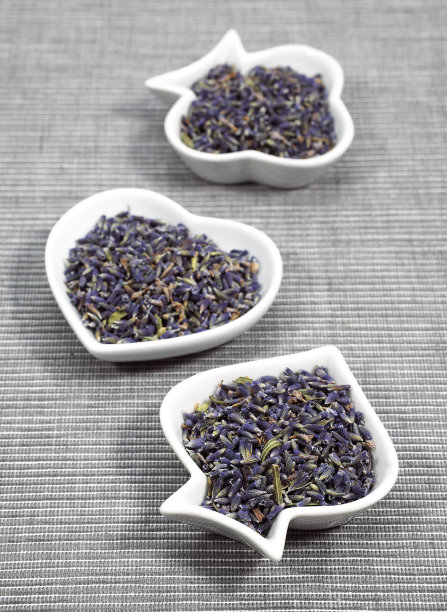 薰衣草，芳香植物图片下载