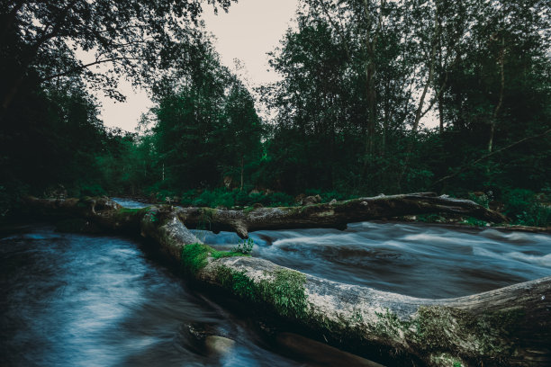 伟大的照片的河流与流动的水通过一棵倒下的折断的树在夏季森林小溪图片下载