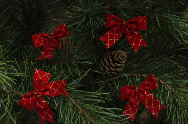 圣诞树上挂着圣诞的蝴蝶结图片下载