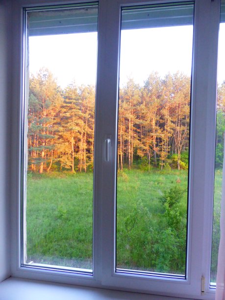 从松树林的窗口看到的景色图片下载