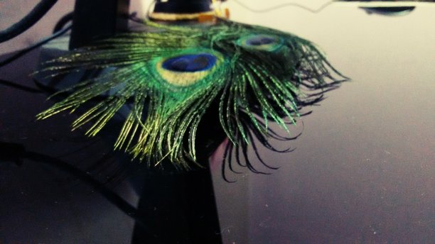 莫尔潘赫图片下载