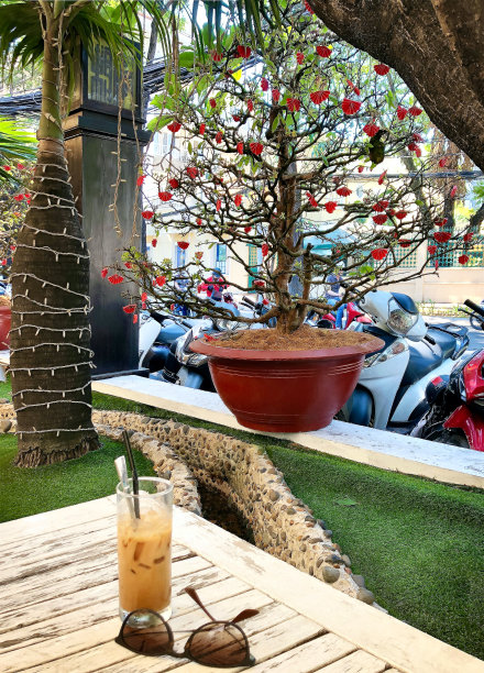 街头越南咖啡馆的一张桌子。露台上的盆栽树用亚洲红色装饰。图片下载