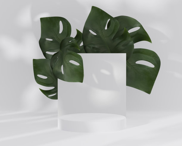 3D白色讲台显示在白色背景和绿色怪物棕榈叶。时尚的极简主义自然基座与化妆品品牌的阴影。丛林，异国情调的夏季3D渲染模型图片下载
