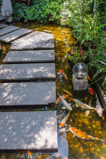 花园外美丽的锦鲤池塘的垂直照片图片下载