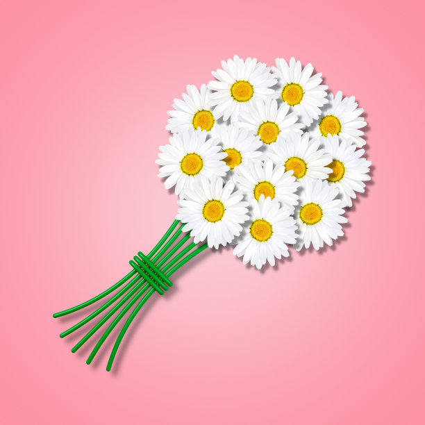 一束白色的洋甘菊在柔和的粉红色背景上。3 d演示。美丽的节日卡片。图片下载