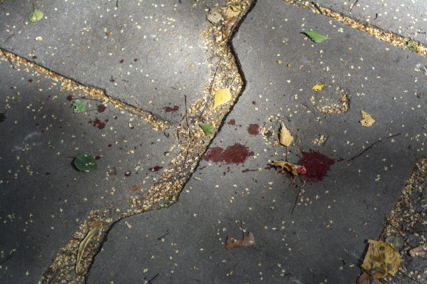 公园小路上的血迹图片下载