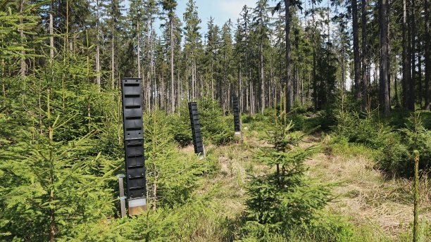 信息素陷阱，树皮甲虫保护森林图片下载