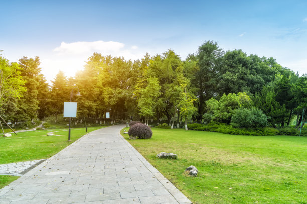 花园，树木和绿色空间图片下载
