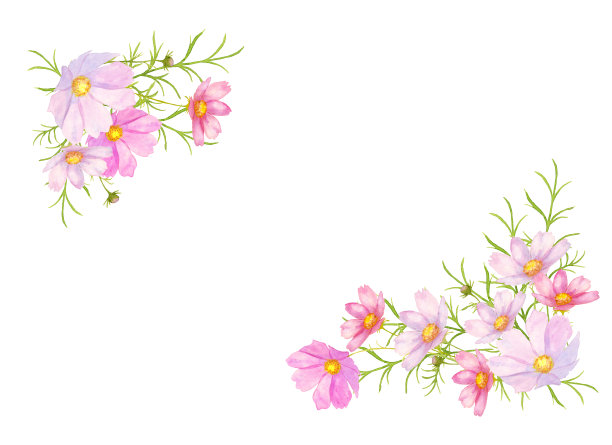 宇宙花装饰素材图片