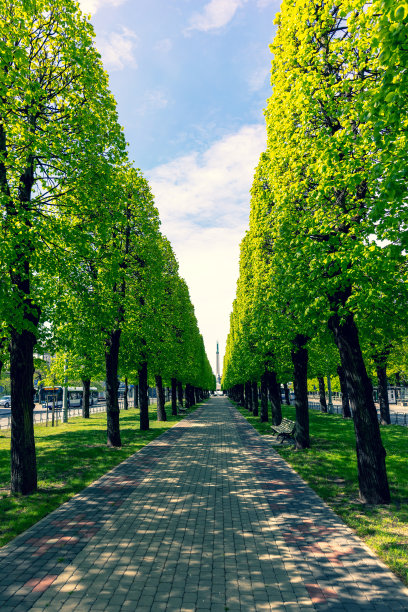 通往里加市中心自由纪念碑的小路图片下载