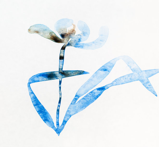 用彩色墨水手绘的花卉素描图片下载