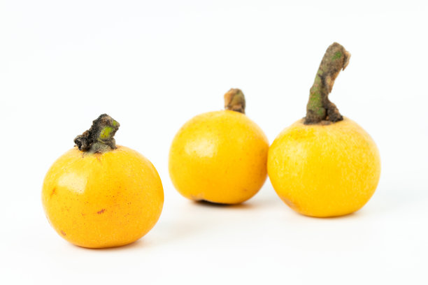 白色背景上孤立的枇杷图片下载