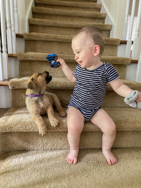 蹒跚学步的孩子和他的小狗在楼梯上玩耍图片下载