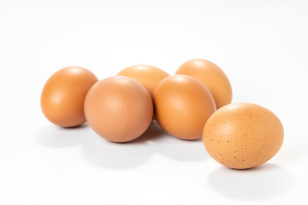 白色背景下的鸡蛋图片下载