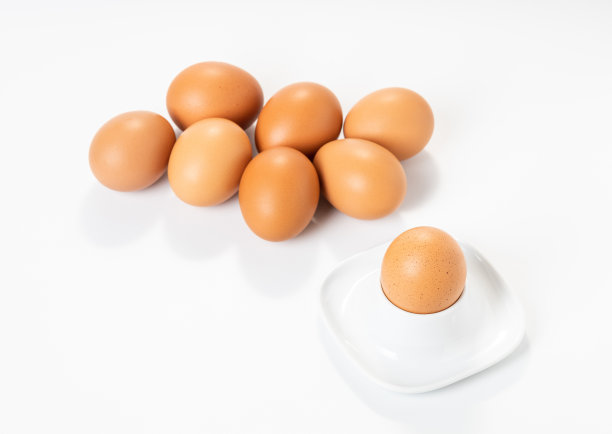 白色背景下的鸡蛋图片下载