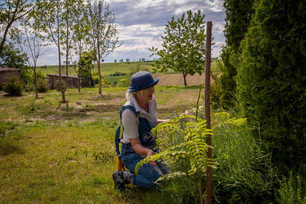 积极从事园艺工作的老年妇女图片下载