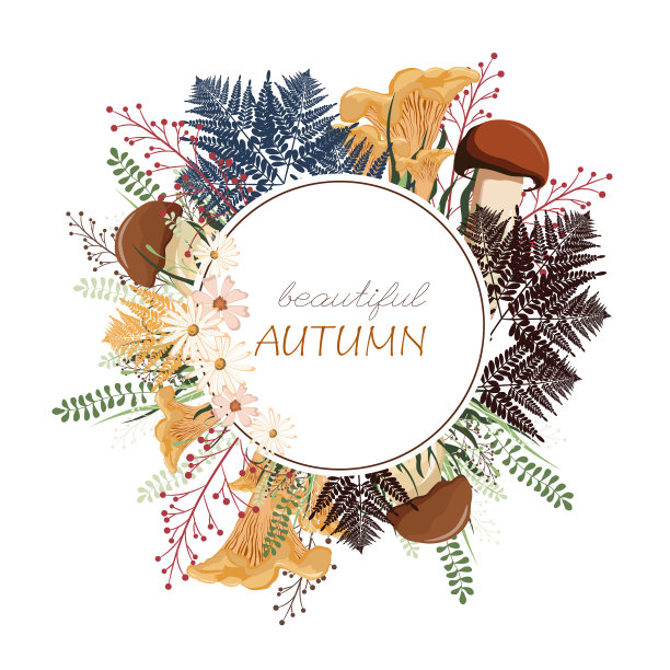 圆的秋天图片下载