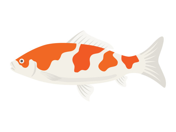 可爱的鱼图片下载