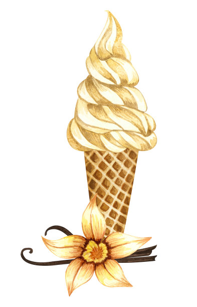 水彩香草冰淇淋蛋筒孤立在白色背景。手绘插图香草花白色冰淇淋在华夫蛋筒图片下载