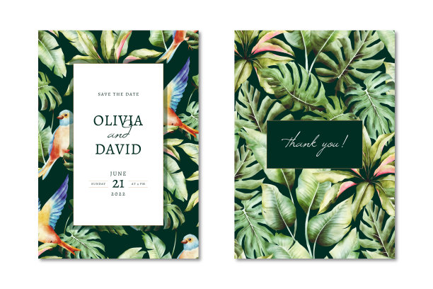 热带贺卡图片下载