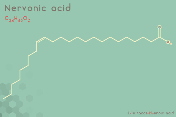 神经酸分子信息图图片下载