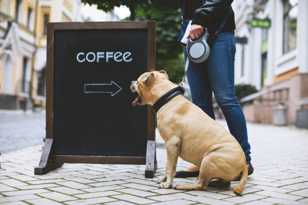 女人,狗和咖啡图片下载