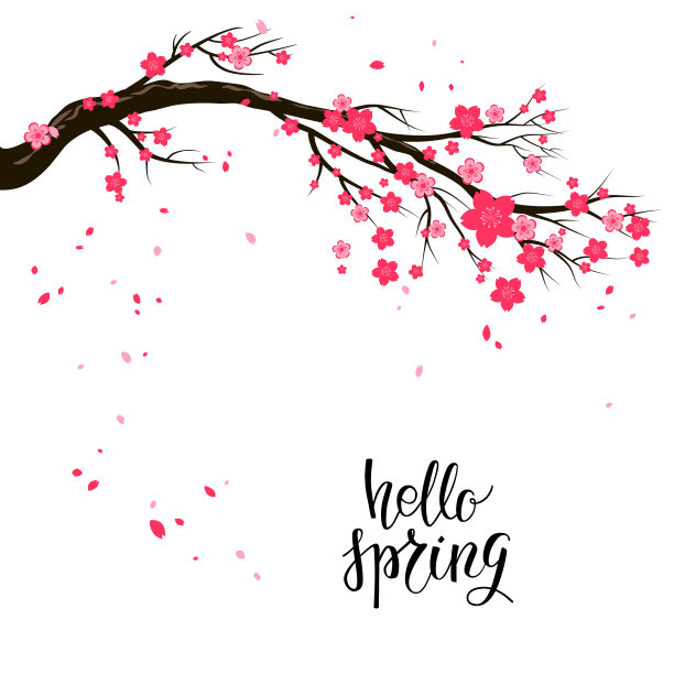 卡通樱花或樱花花枝图片下载