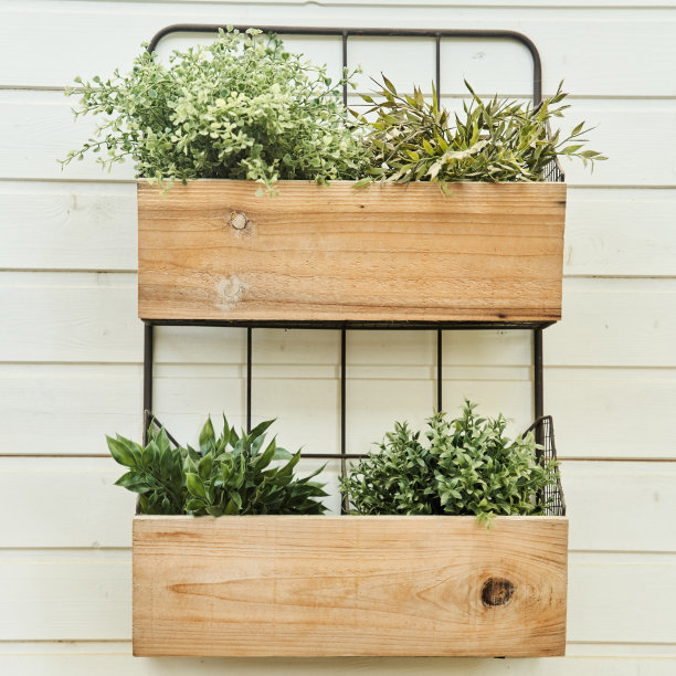 装饰木箱与花在白色的墙上特写图片下载