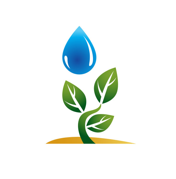 小植物生长在沙漠概念水图片下载