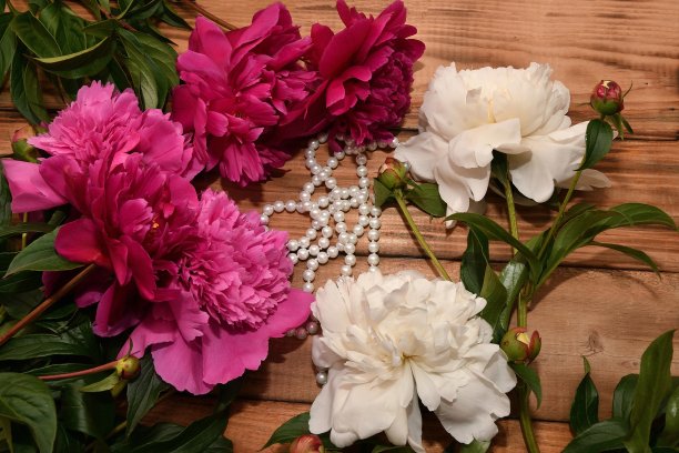 木台面上放着一朵牡丹图片下载