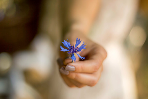 女人的手上有一朵蓝色的小花图片下载