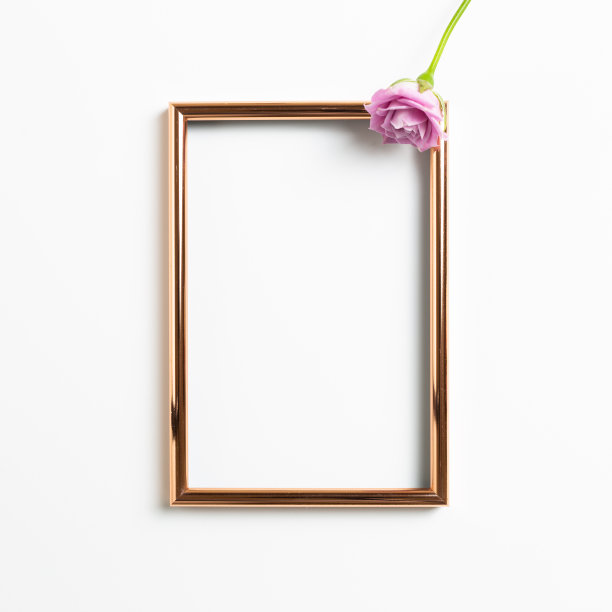 空的相框与粉红色玫瑰花在白色的背景。花型构图，平放，俯视图，复制空间图片下载