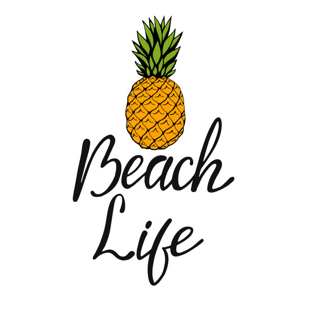 海滩生活-手写字母。文字孤立在白色背景与设计元素。夏季排版照片叠加，t恤打印，传单，海报设计。海滩生活信息图片下载