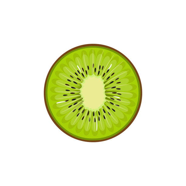 新鲜猕猴桃切片孤立在白色背景上。矢量图图片下载