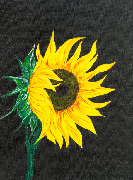 向日葵图片下载