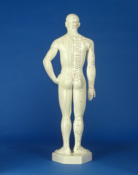 展示针灸穴位的男人雕像图片下载