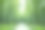 高清晰度竹林绿竹图片下载