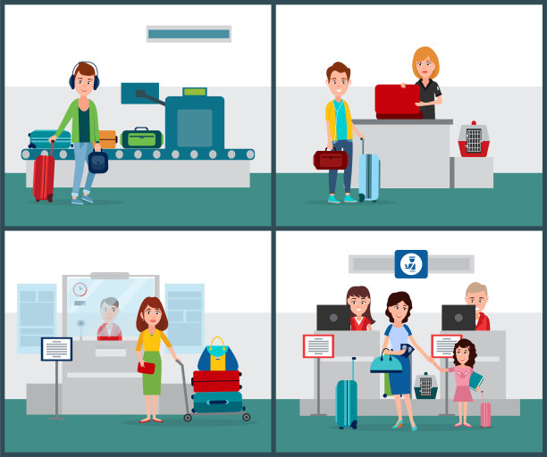 国际航班设置矢量插图图片下载